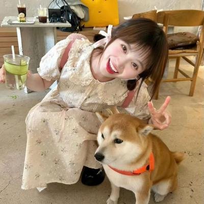 黑道家族